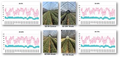 Effect of shading on physiological attributes and comparative transcriptome analysis of Camellia sinensis cultivar reveals tolerance mechanisms to low temperatures